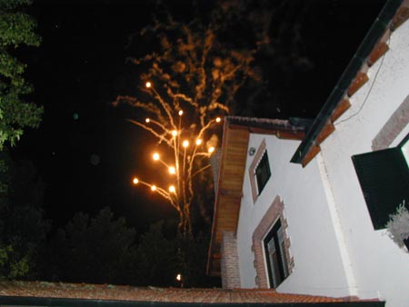 P1010051