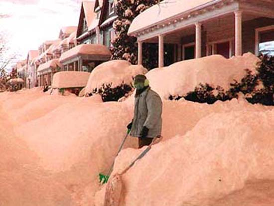 PinkSnow