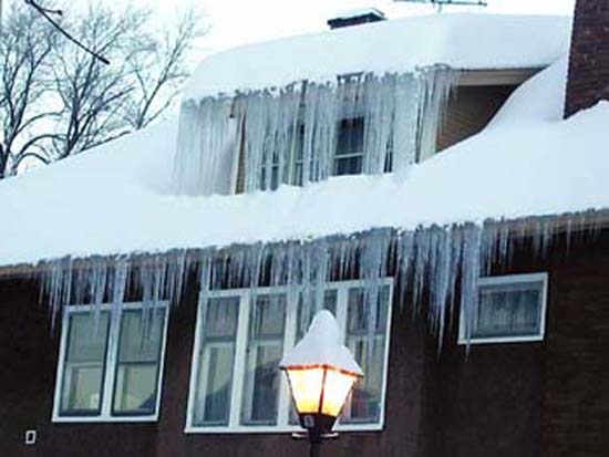 iceclNeighb