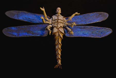 04 Shedragonfly